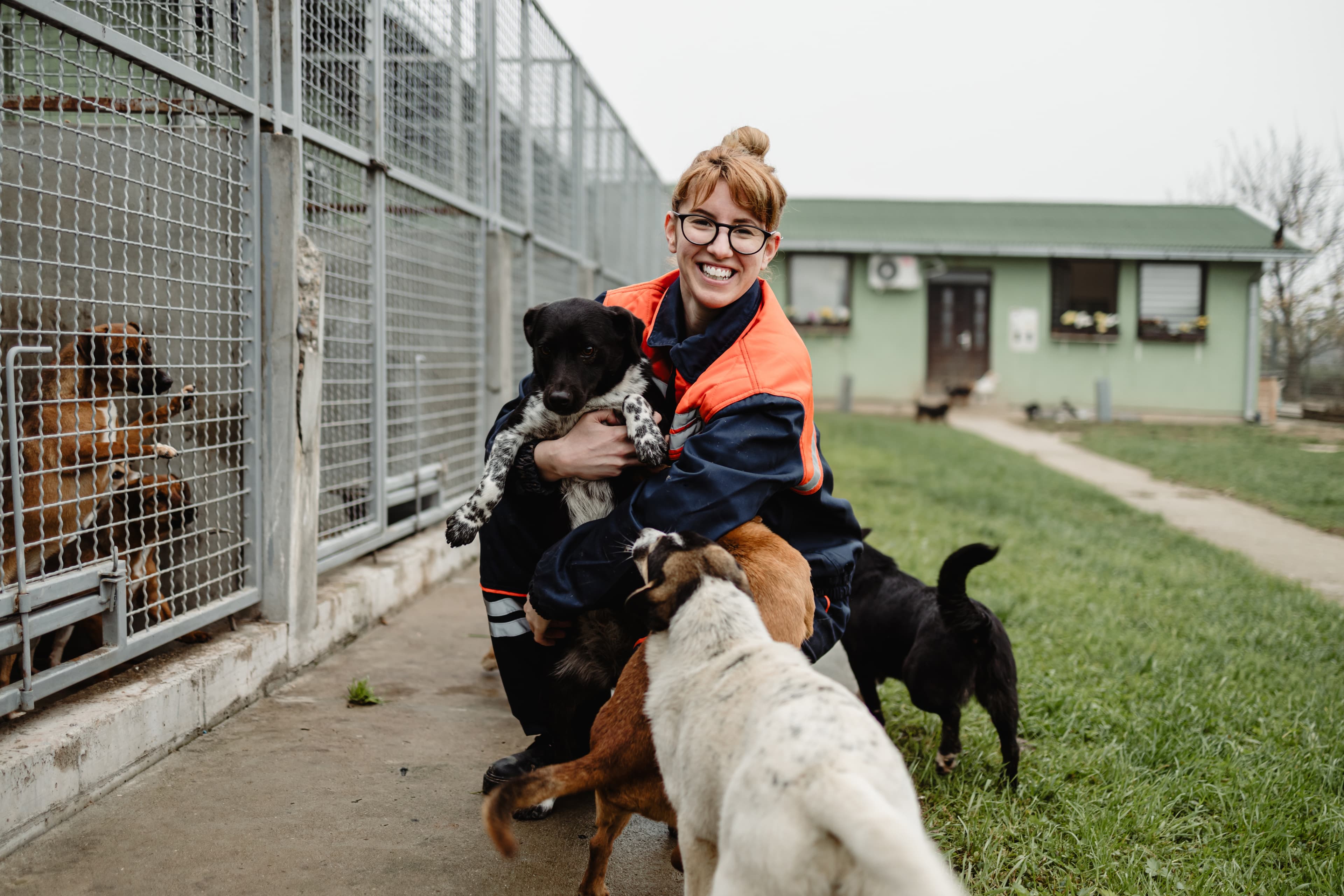 Shelter worker with rescue dogs