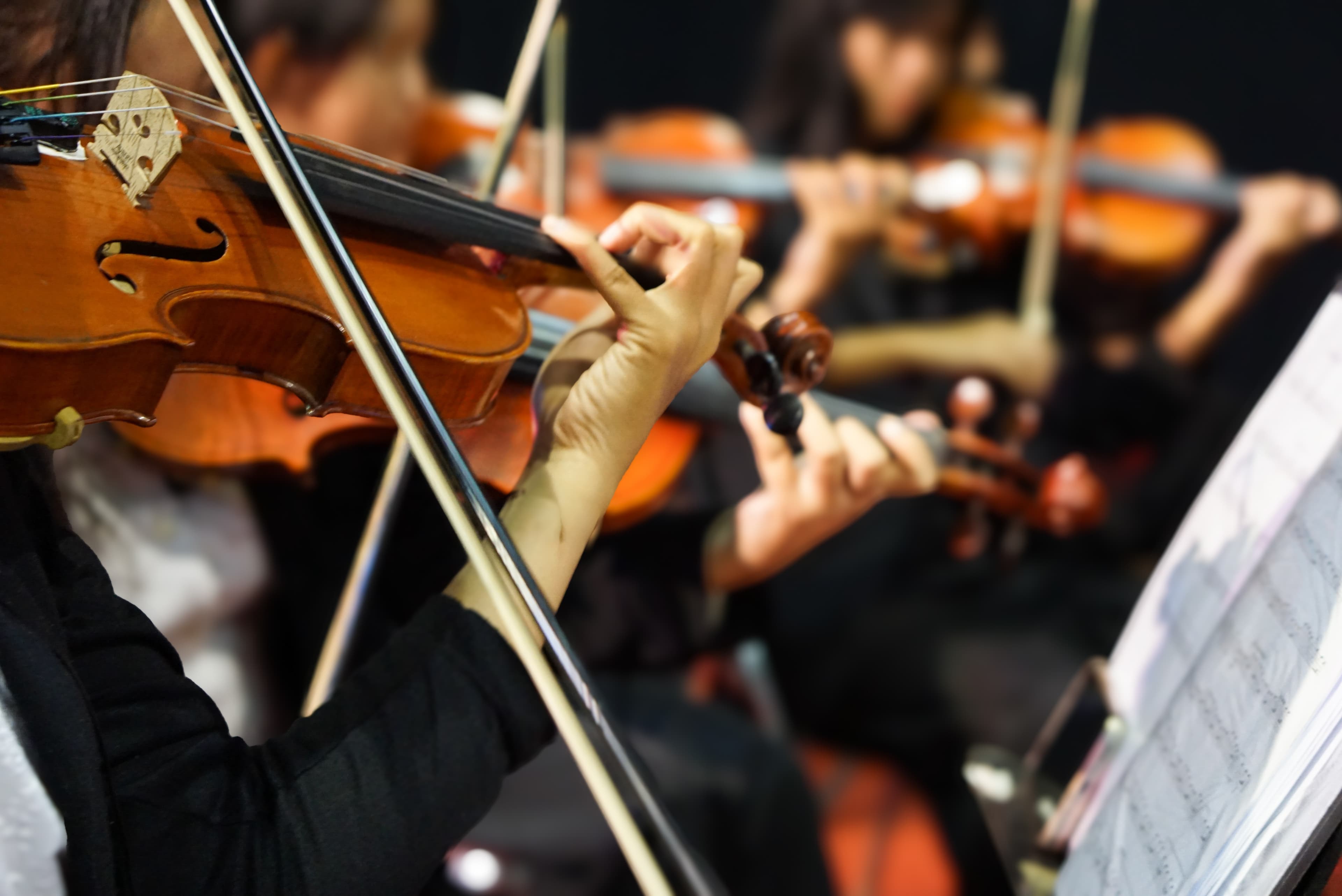 Violinists performing in an orchestra